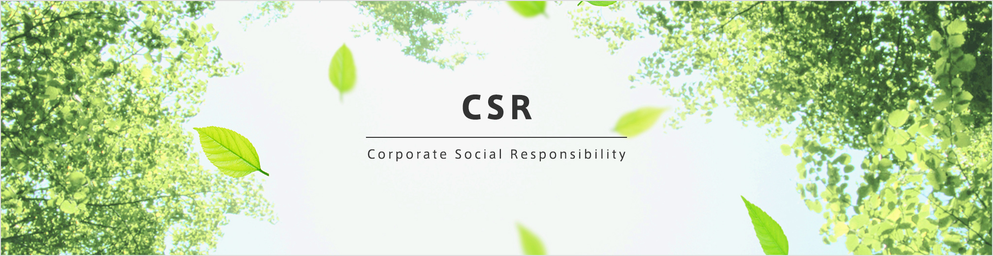 CSR